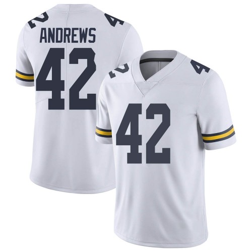 Trevor Andrews Michigan Wolverines Men's NCAA #42 White Limited Brand Jordan College Stitched Football Jersey TWF2554ZS